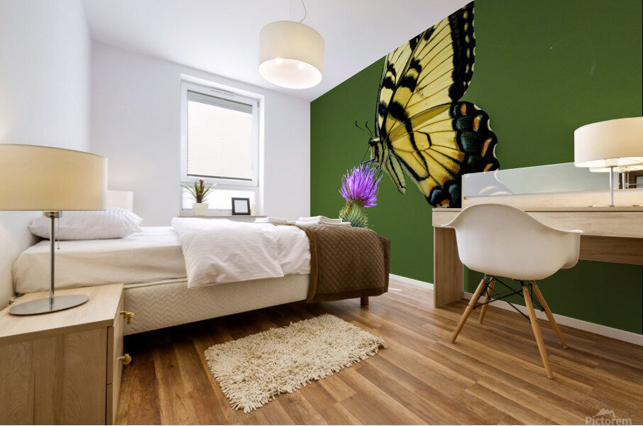 Eastern Tiger Swallowtail Mural print