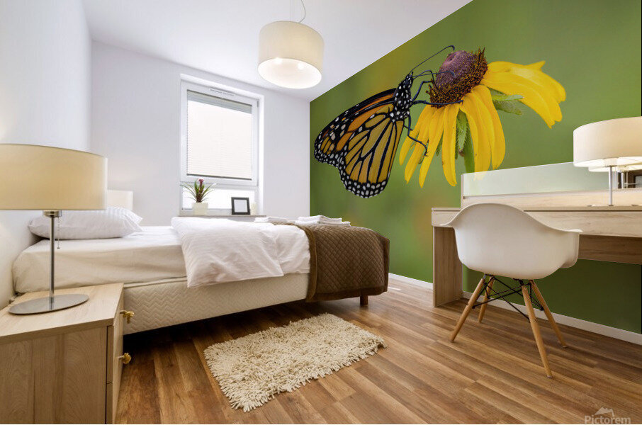 Monarch Butterfly Mural print