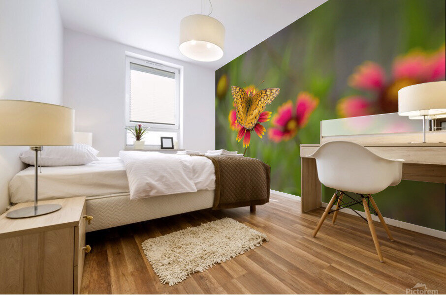Variegated Fritillary Mural print
