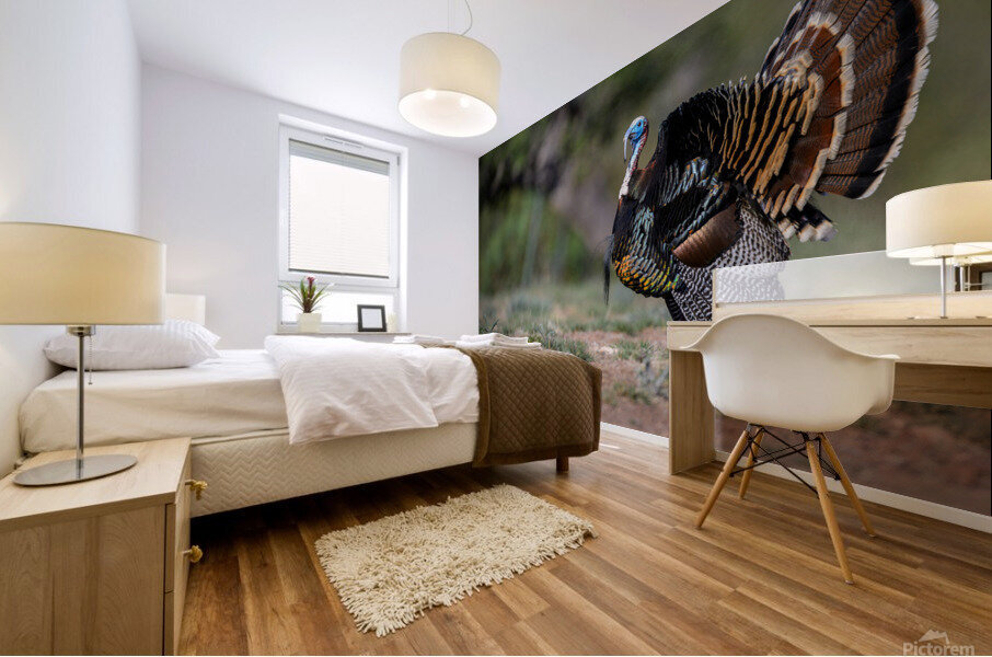 Turkey Time Mural print