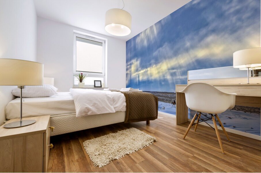  Cold Trail Mural print