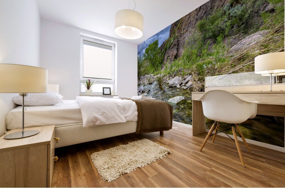 Shallow Creek Mural print
