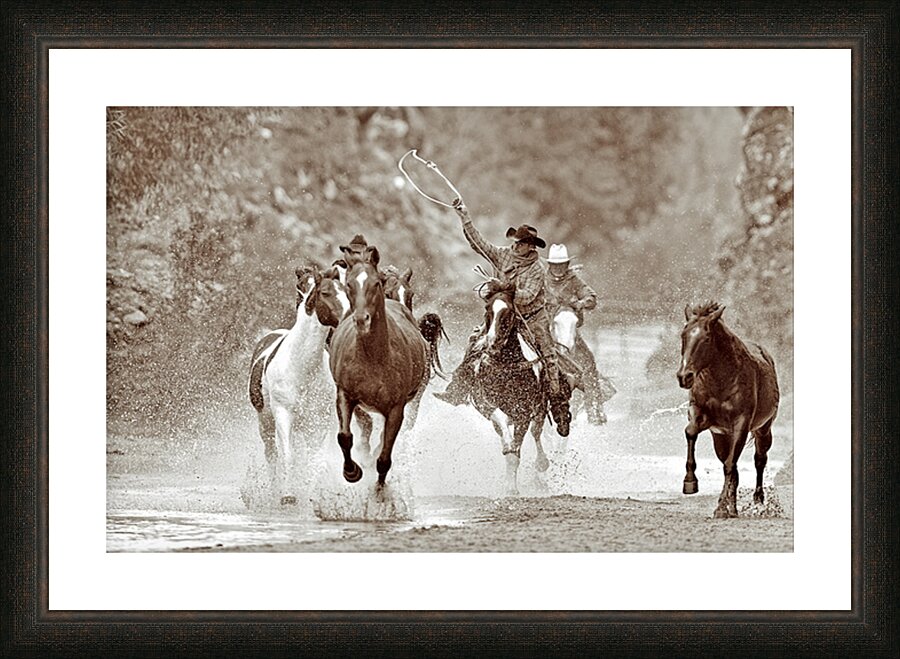 Swingin A Loop Picture Frame print