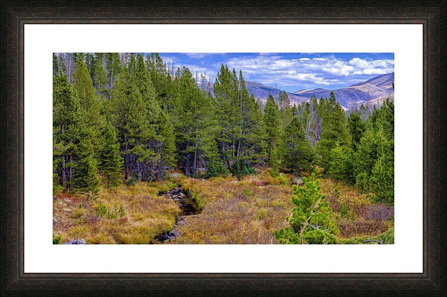 Rocky Mountain Stream Picture Frame print