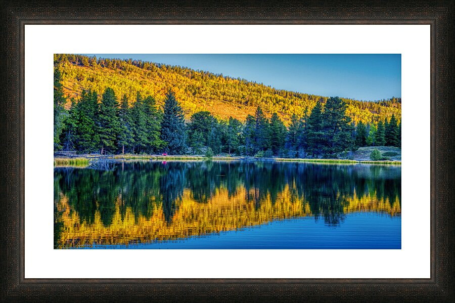 Aspens Glow Picture Frame print