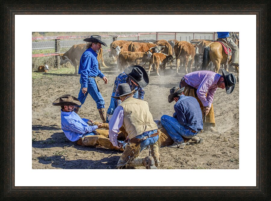 Working Cowboys Picture Frame print