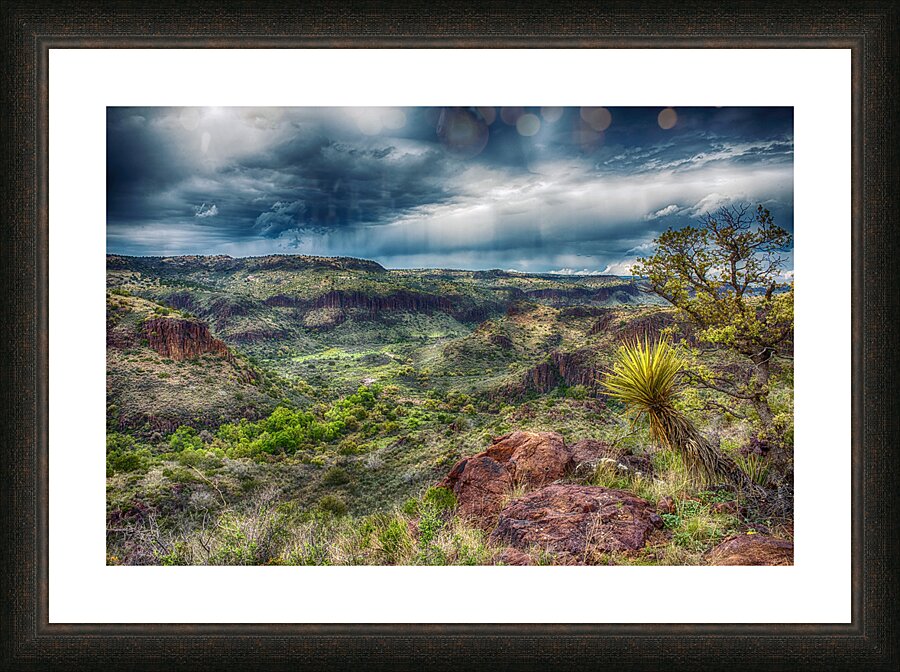 Private Canyon Picture Frame print