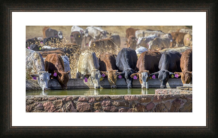 Cool Water Picture Frame print