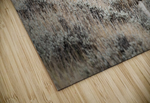 Big Muley Trey Neal  Natures Wildscapes puzzle