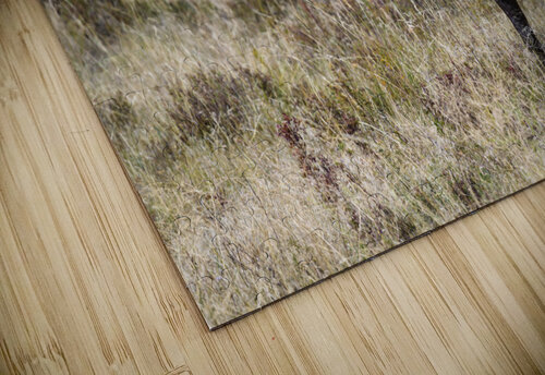 Bugling Trey Neal  Natures Wildscapes puzzle