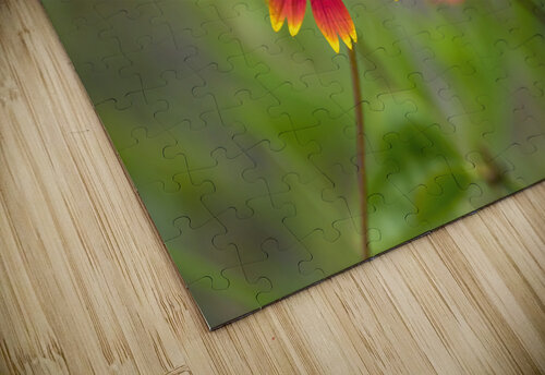 Variegated Fritillary Trey Neal  Natures Wildscapes puzzle