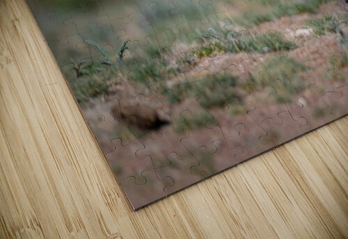 Turkey Time Trey Neal  Natures Wildscapes puzzle