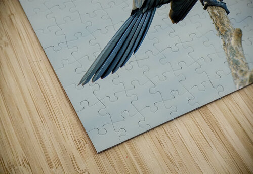 Cormorant Trey Neal  Natures Wildscapes puzzle
