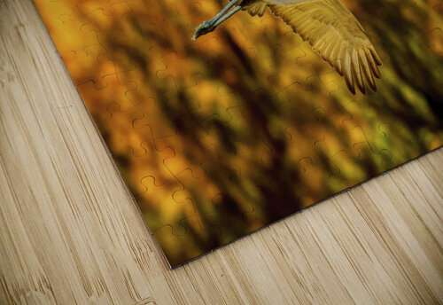 Sandhill Cranes Trey Neal  Natures Wildscapes puzzle
