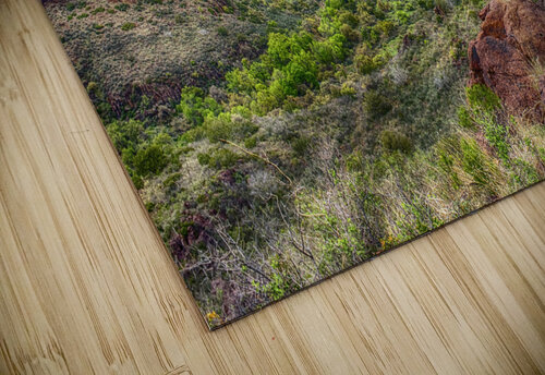 Private Canyon Trey Neal  Natures Wildscapes puzzle