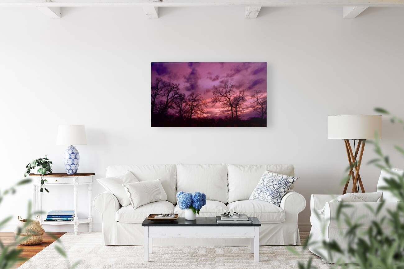 Purple Sky Reproduction