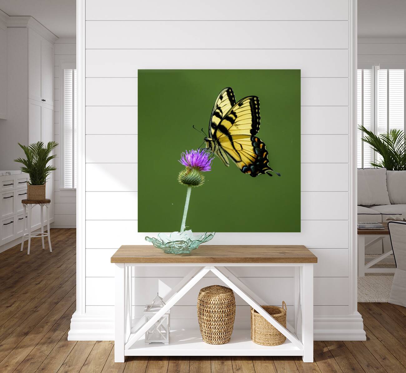 Eastern Tiger Swallowtail Reproduction