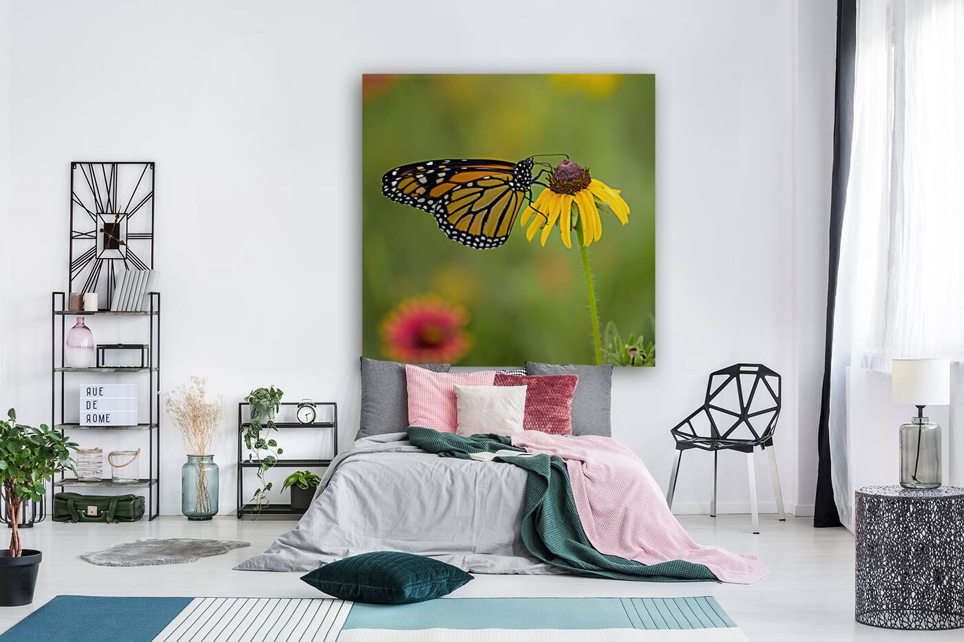 Monarch Butterfly Reproduction
