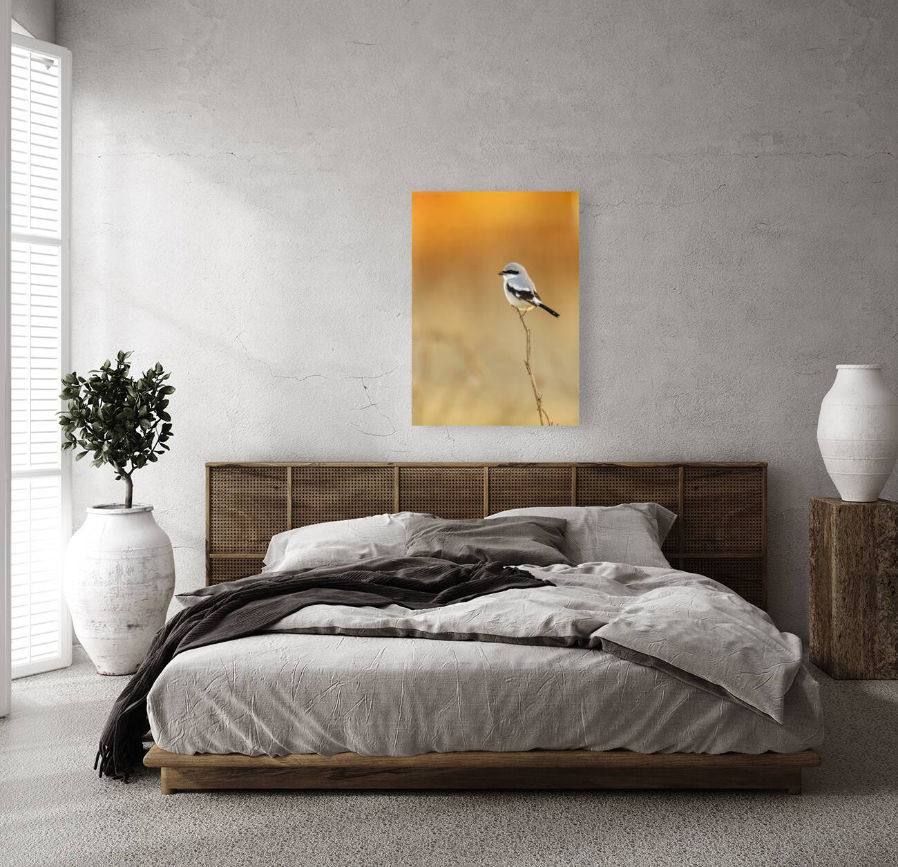 Loggerhead Shrike Reproduction