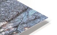 Winter Flow HD Metal print