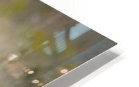 Really  HD Metal print