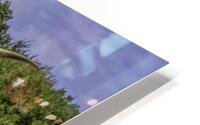 Big and Wide HD Metal print