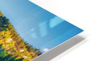 Aspens Glow HD Metal print