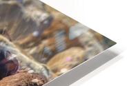 Cool Water HD Metal print