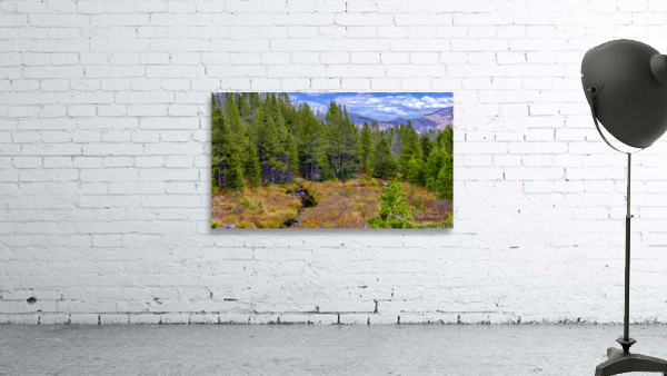 Rocky Mountain Stream Wall Preview
