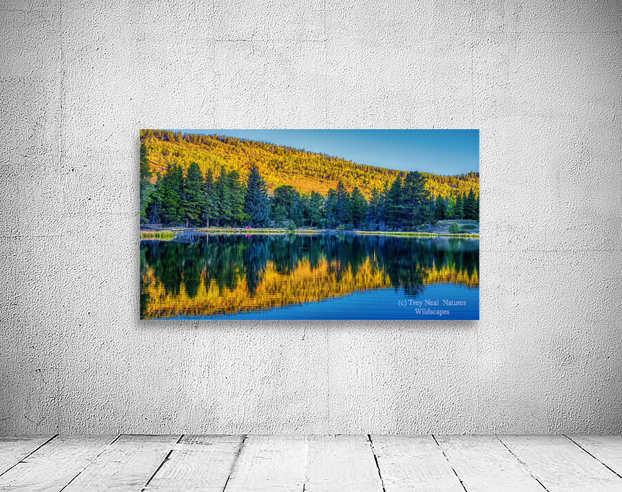 Aspens Glow Wall Preview