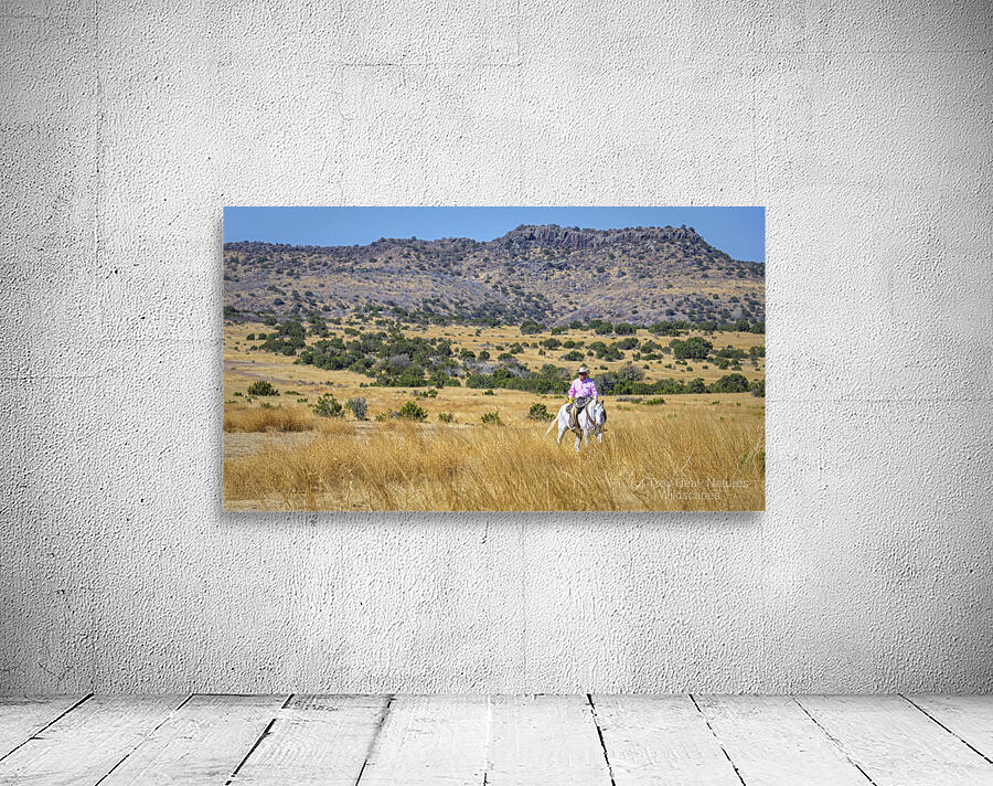 Lonesome Cowboy Wall Preview