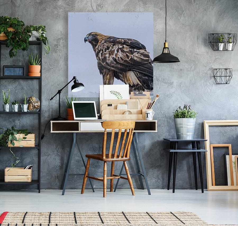 Golden Eagle Reproduction