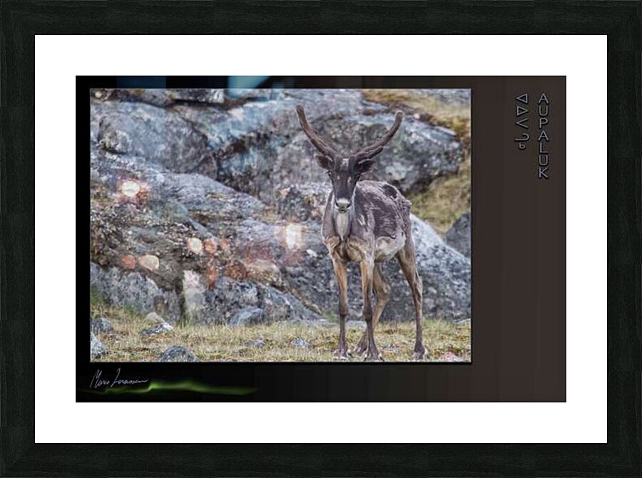 Lady tuktu Picture Frame Printing