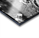 Steel Tether Acrylic print
