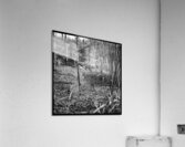 Mirror Swamp Acrylic Print
