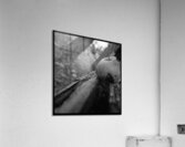 Bruised By Gravity Acrylic Print