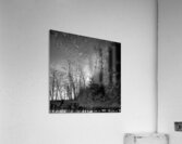 Enchanted Forest Acrylic Print