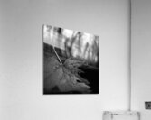 Last Leaf Acrylic Print