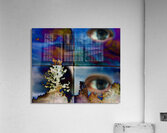 Torpor Acrylic Print