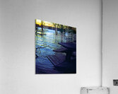 The Tide Is High Acrylic Print