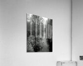 Ghost River Acrylic Print