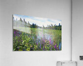 Rezoned For Development Acrylic Print