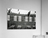 Paving Paradise Acrylic Print