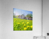Golden Solitude Acrylic Print