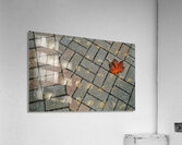 Folium Impression acrylique