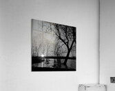Overflow Acrylic Print