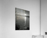 Another Day Awaits Acrylic Print