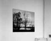 Darkness Sweet Darkness Acrylic Print