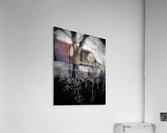 Res Nullius Acrylic Print