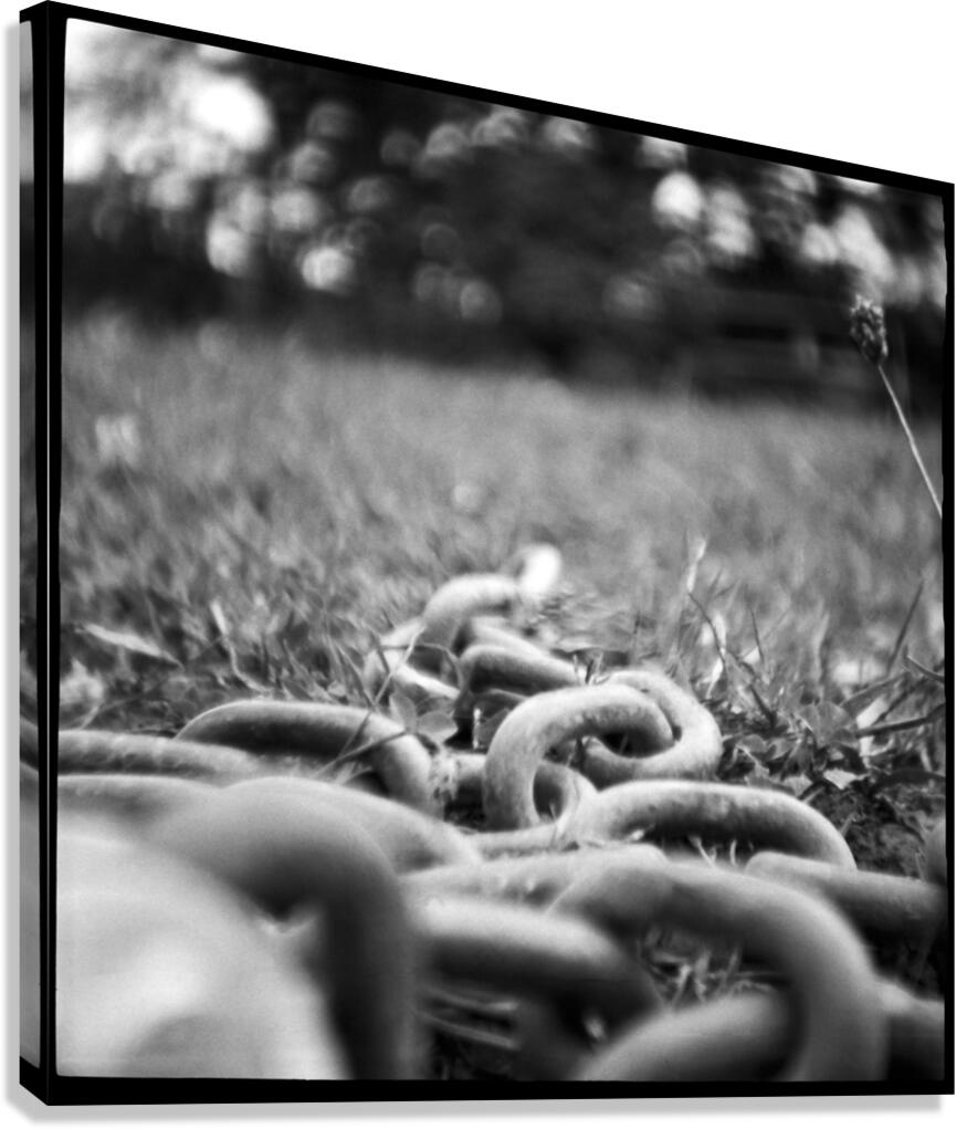 Steel Tether Canvas Print